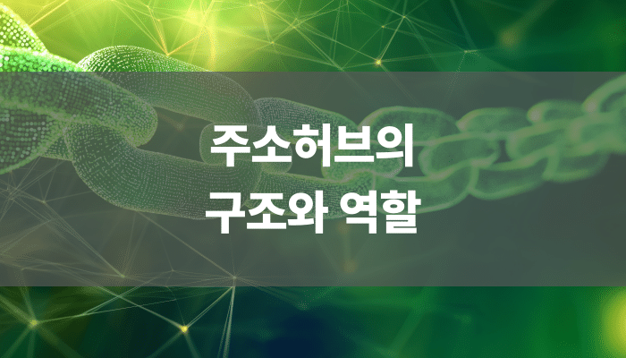 주소허브의 구조와 역할